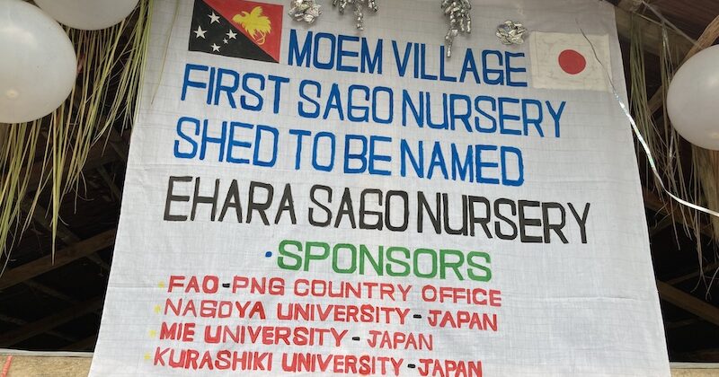 Ehara Sago Nursery, Moem, Wewak, PNG